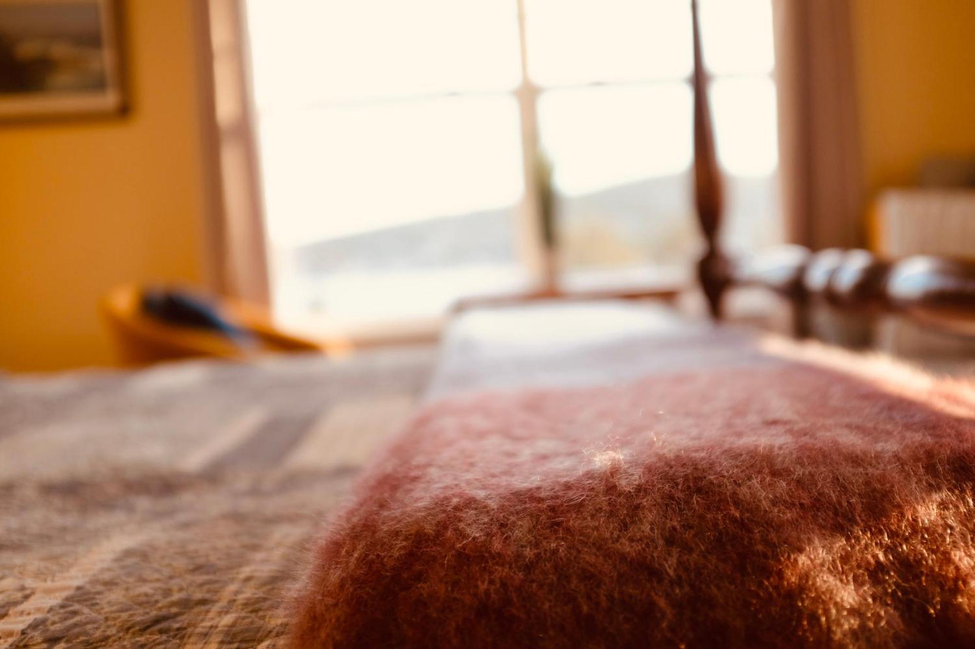 The Bread And Cheese Country Inn Bay Bulls المظهر الخارجي الصورة